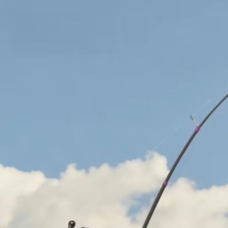 Fishing Rod Carbon Fiber - 1.8M For BFS Dedicated L Action